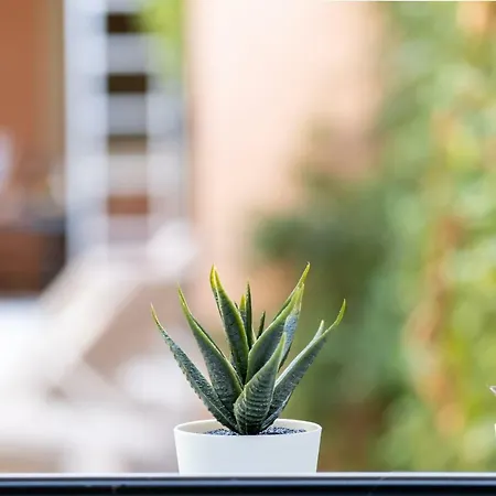 Будинок відпочинку Villino Lola В'яреджо